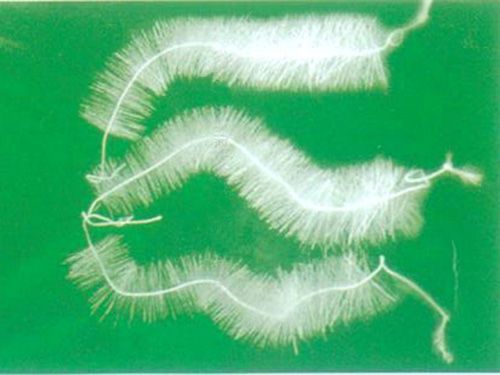 TL型立體彈性填料